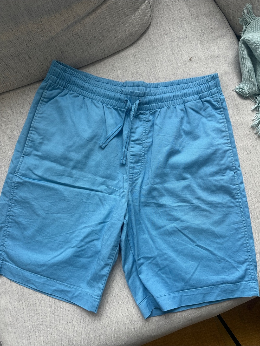 Uniqlo Men’s Blue Hybrid Shorts
